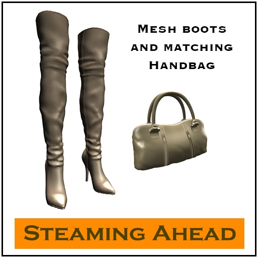 SA Gold Leather Boots and Handbag