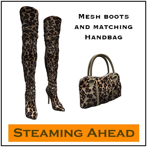 SA Leopard Print Boots and Handbag