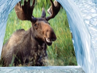 Alaskan/Arctic Solid Ice Igloo Packed w/ Arctic Extras
