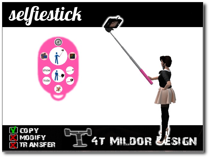 selfiestick