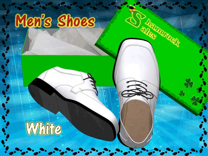 Men's Mesh Shoes (White)