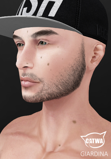 Giardina - BEARD - FATPACK CATWA
