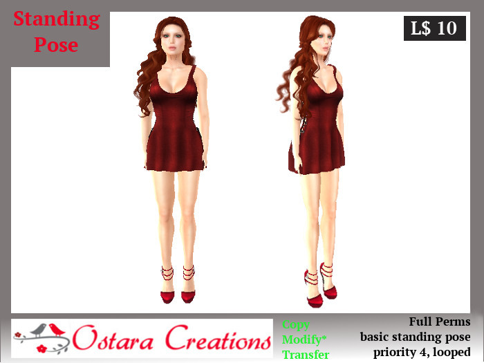 Basic Standing Pose - Full Perms