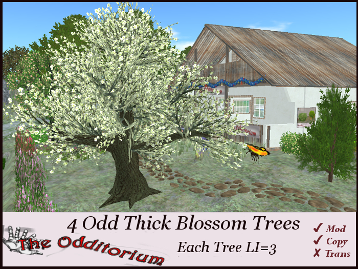 Odd Thick Blossom Tree - 5 Pack