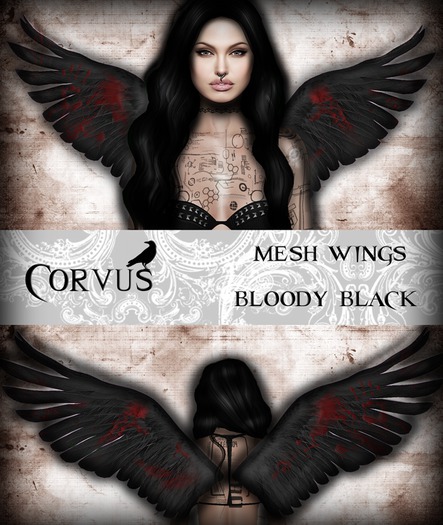 Corvus : Mesh Wings Black