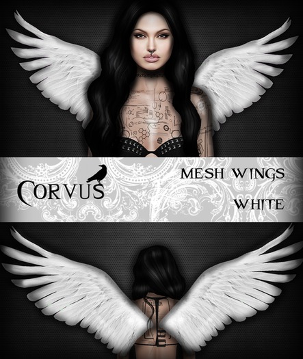 Corvus : Mesh Wings Black