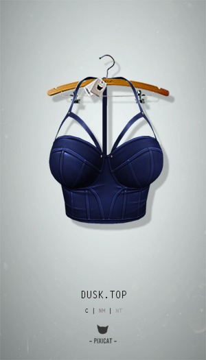 -Pixicat- Dusk.Top (Blue)