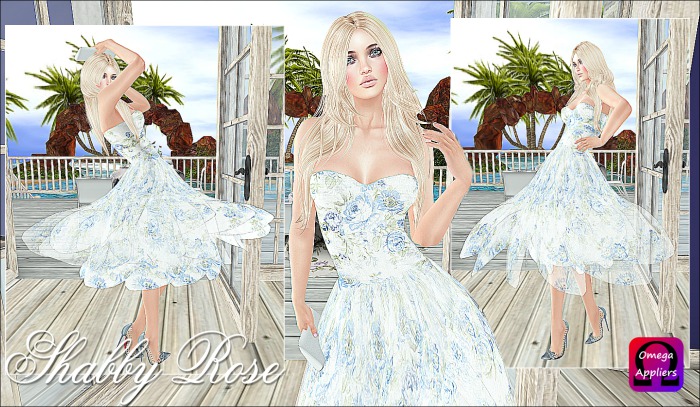 ~*~Shar's Dresses~*~Shabby Rose