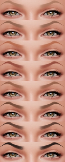 SimplyScha Fierce Brows for Classic Avatar