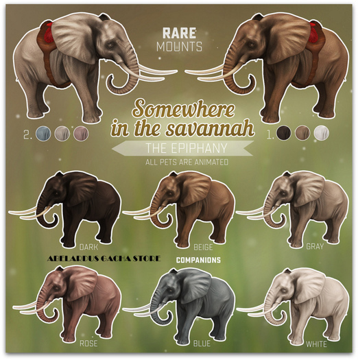 Fawny - Somewhere in the Savannah.Mount - 1 - Rare