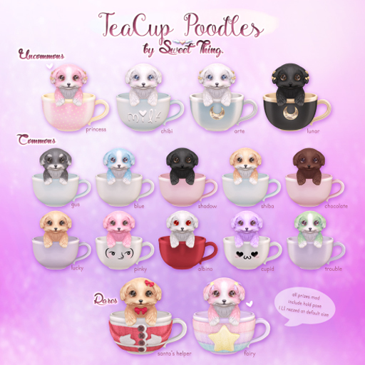 Sweet Thing. Santa's Helper Teacup Poodle Rare