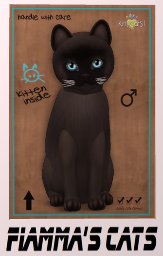 KittyCatS Box - Burmese - Sable