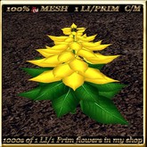 LW_Poinsettia Full Perm