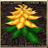 LW_Poinsettia Full Perm