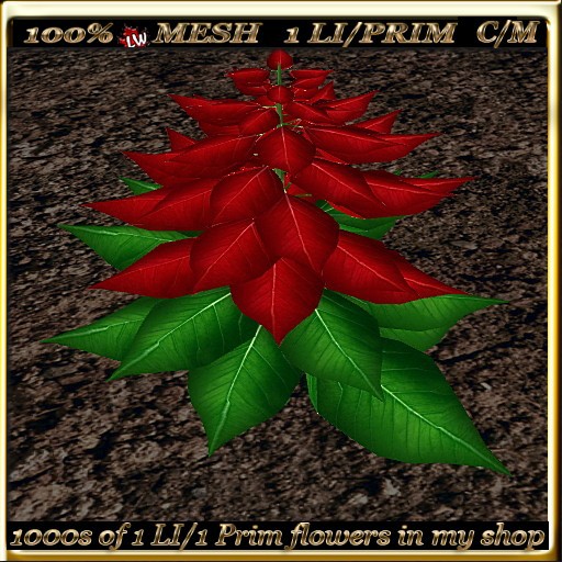 LW_Poinsettia Full Perm