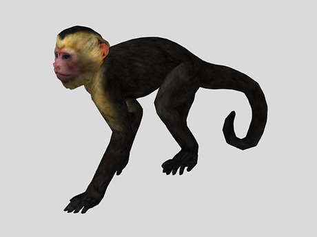 Second Texture Monkey Second Life Marketplace - Monkey Pack - Mesh - Full Perm