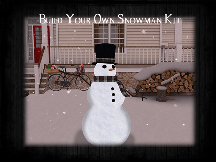 GSS - Build Your Own Snowman Kit 