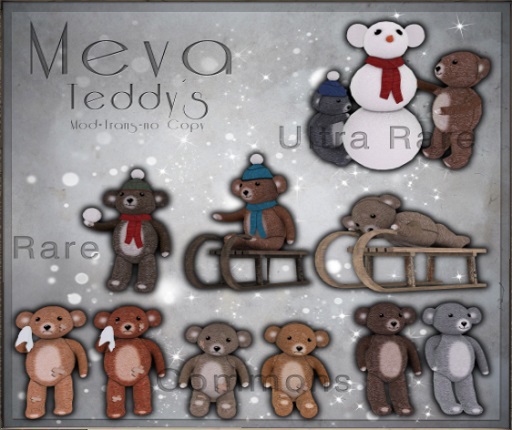 Meva Teddy 1
