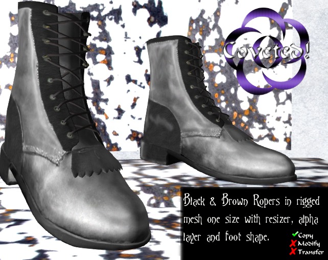 Silver Steel Roper Boots w/Resizer