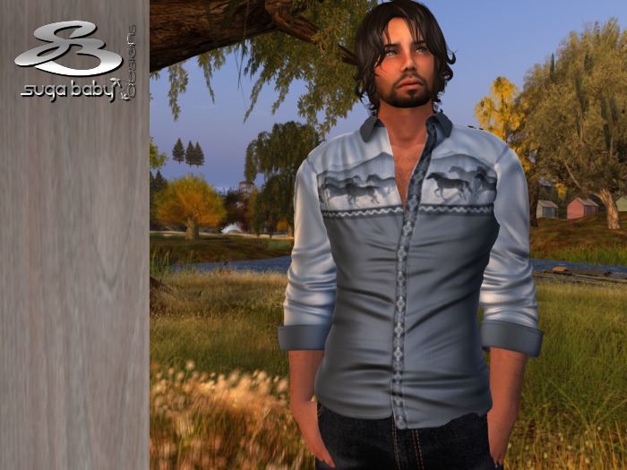 SB1864B  Western Paisley Shirt Red