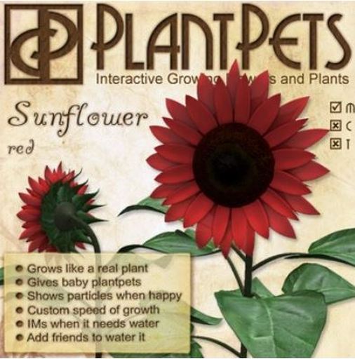 PlantPet Seed  Sunflower *Red*common