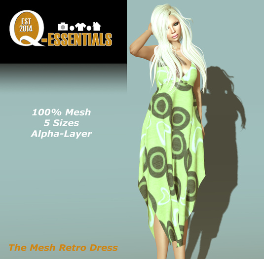 Mesh Retro Dress
