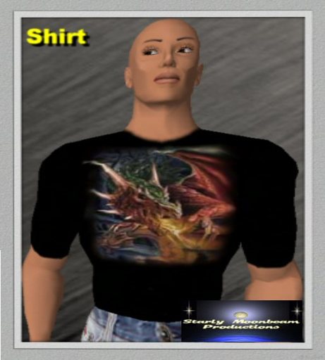 Fire Dragon Tee Shirt