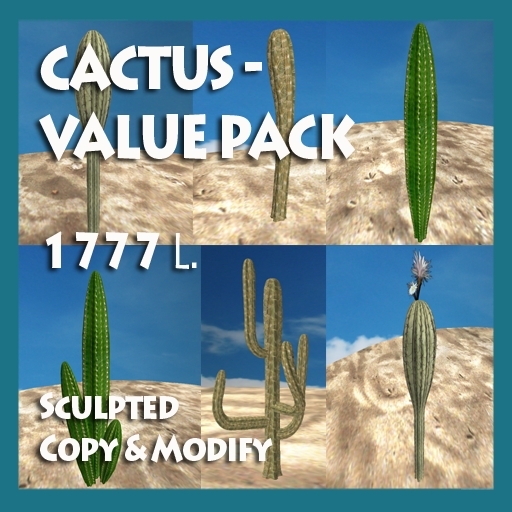 Cactus ValuePack Box