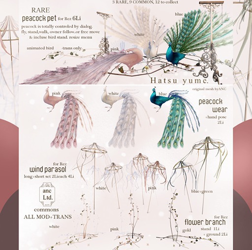 {anc} box) Hatsuyume / wind parasol blue