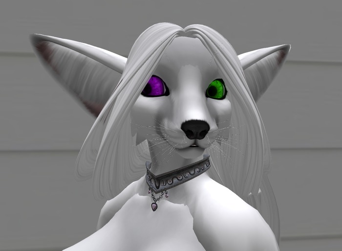 *CT* DSD Fennec Mesh Hair Fix