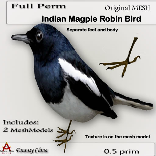 Fantasy China Mesh Indian Magpie Robin Bird 0.5  prim each part, Full perm
