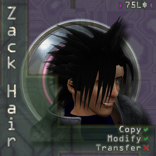 Zack Fantasy Hair