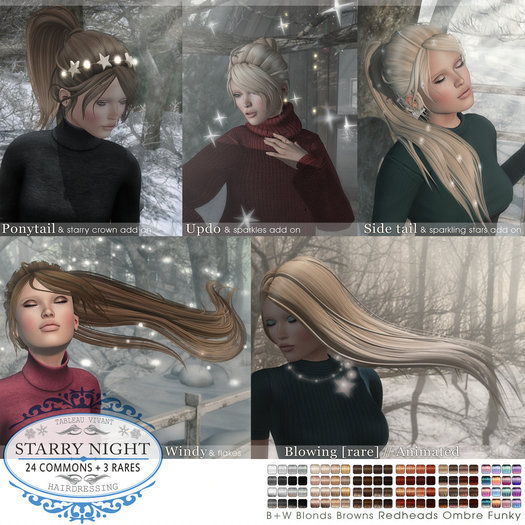 Tableau Vivant \\ Starry Night \\ Ponytail - B+W