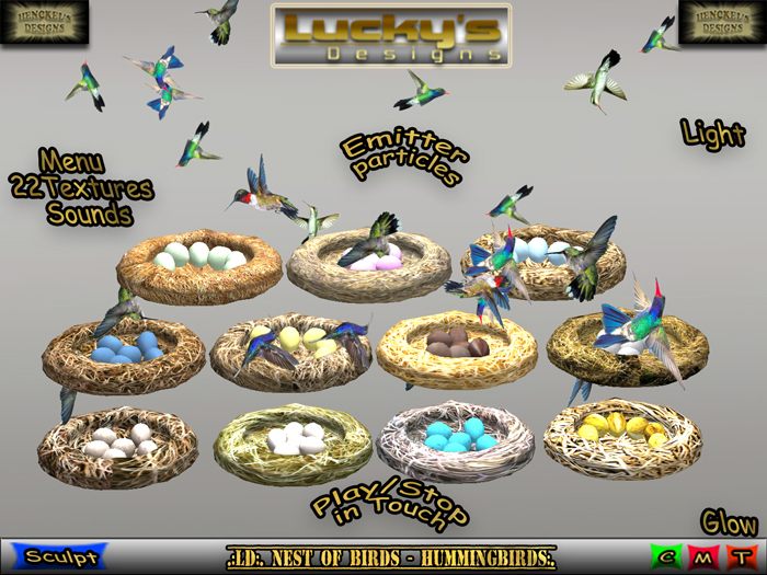 .:LD:. Nest Of Birds - Hummingbirds:.