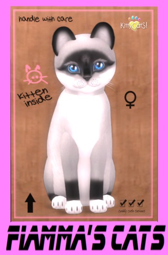 KittyCatS Box - Foxie - Salt & Pepper Mask