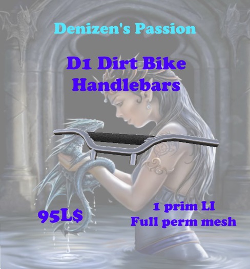 D1 Dirt Bike Style Bars mesh
