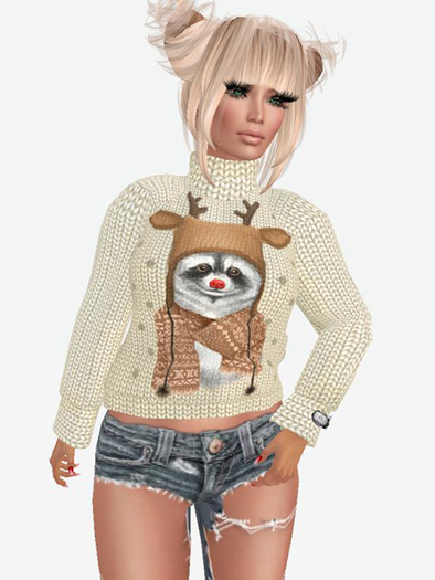 Sweater Christmas Raccoon