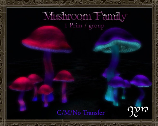 Zyn ~ Mushroom Family