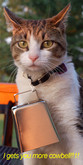 [[Wilder]] Cowbell Bumper