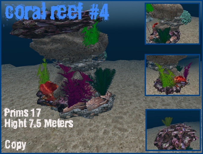 coral reef 4