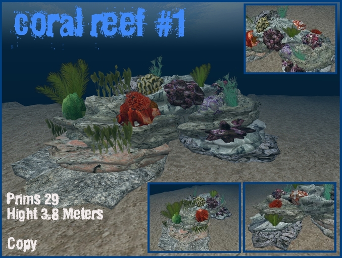 coral reef 1