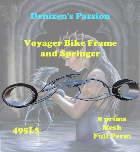 Voyager Bike Frame