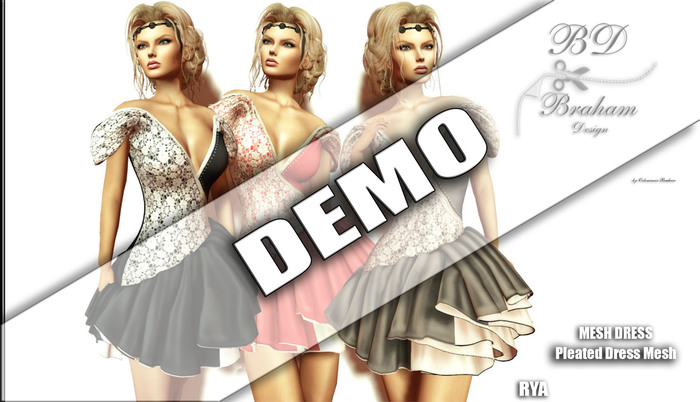 Braham Design DEMO Rya Pleated Dress Mesh