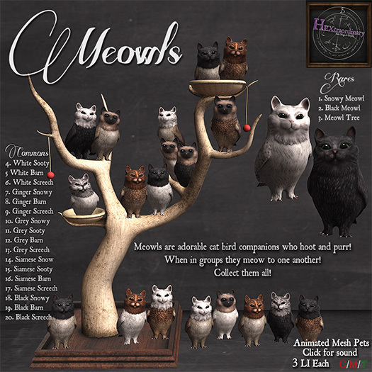 *HEXtraordinary* Black Meowl - Rare