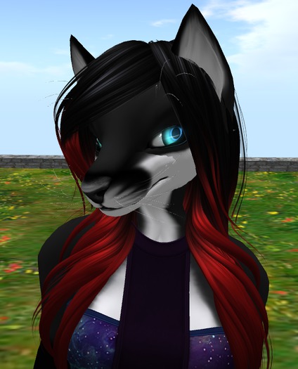 *CT* KZK Fox v3 Mesh Hair Fix