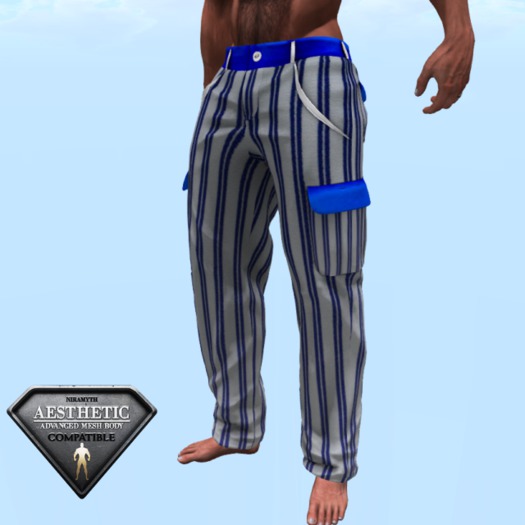 Blue striped pants