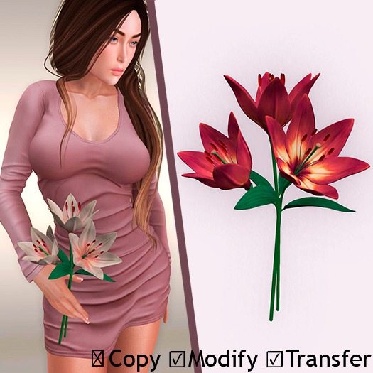 [Sweet Garden]  three lilies Sunset Late