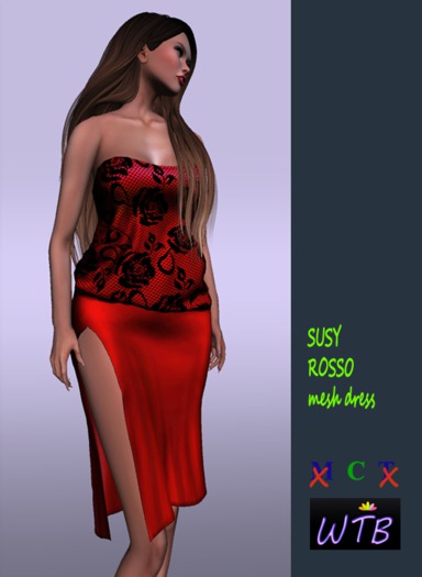 WTB * SUSY ROSSO mesh dress