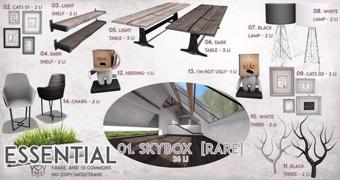 *YS&YS* Essential 13 ImNotUgly Box