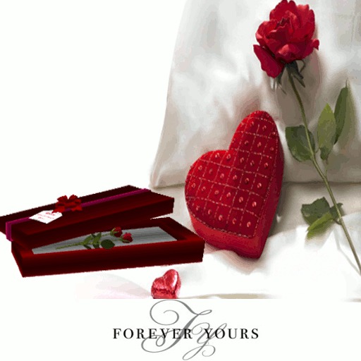 valentines roses